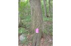 Property photo 22 - 160 Acres Offered in 6 Tracts